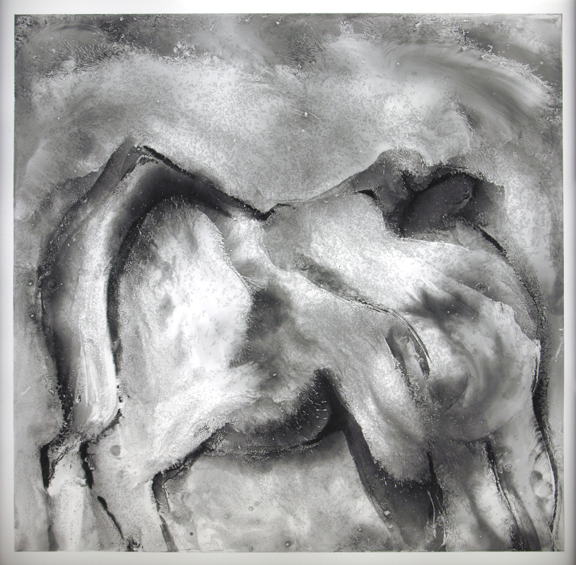 image of stained glass panel: Charolais cow